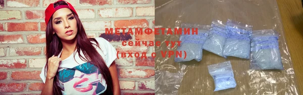 шишки Няндома