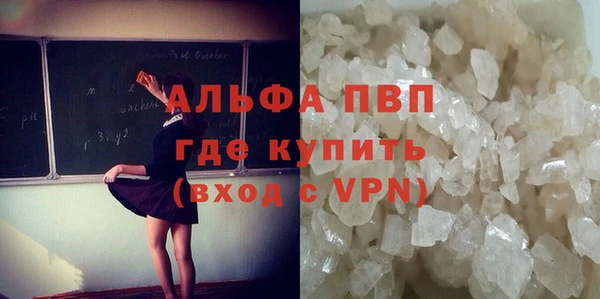 шишки Няндома