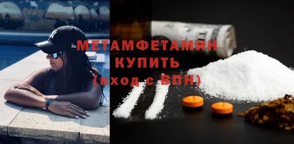 шишки Няндома