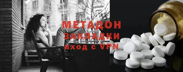шишки Няндома