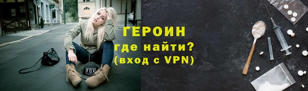шишки Няндома