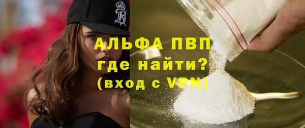 шишки Няндома