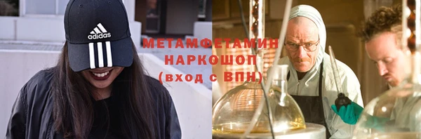 шишки Няндома