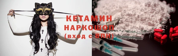 шишки Няндома