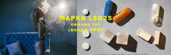 шишки Няндома