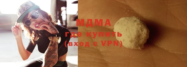 шишки Няндома
