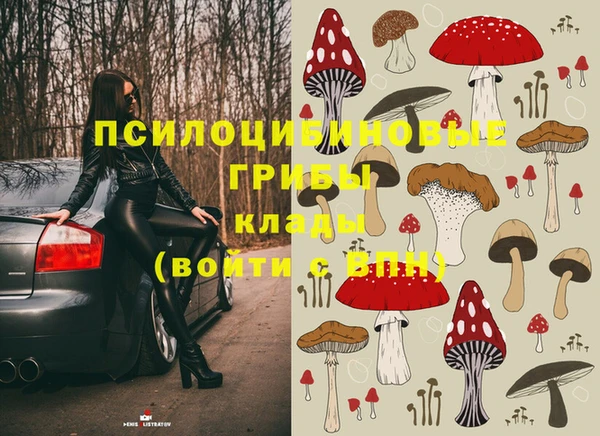 мдпв Нязепетровск