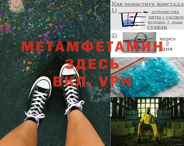 шишки Няндома