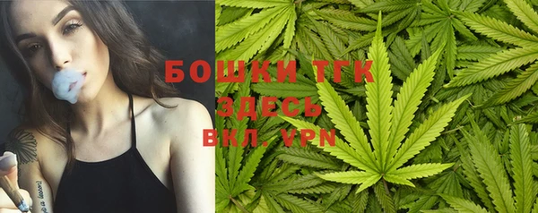 шишки Няндома