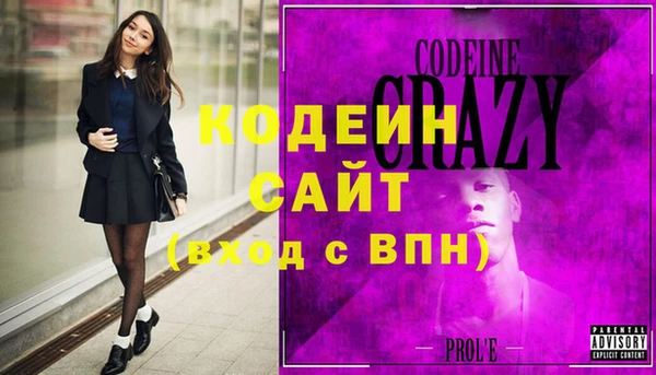 шишки Няндома
