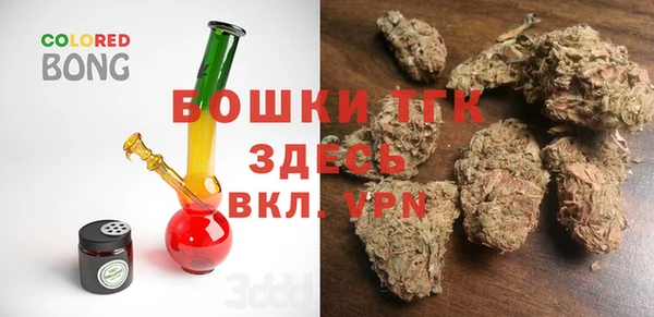 шишки Няндома
