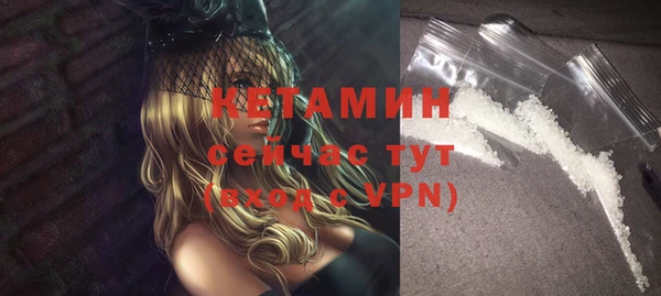 шишки Няндома