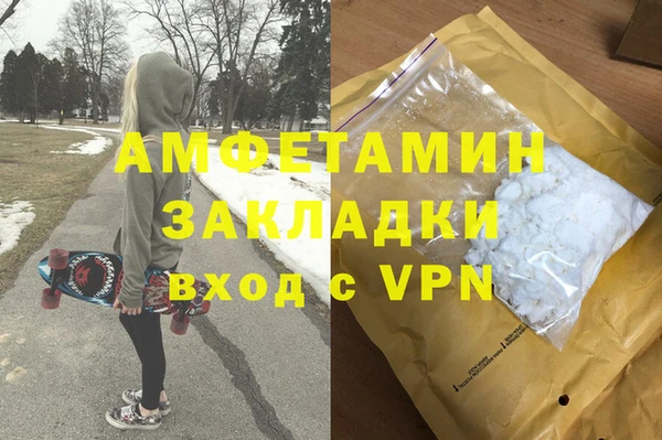 соль ск Новозыбков