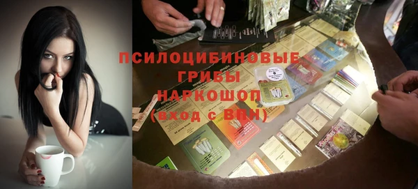 мдпв Нязепетровск
