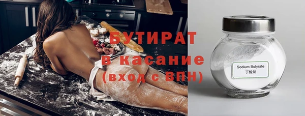 шишки Няндома