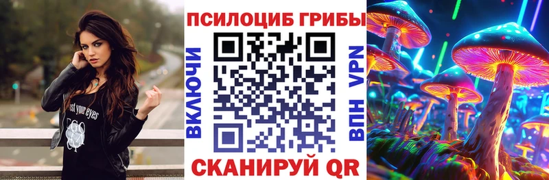 Галлюциногенные грибы Psilocybe мега зеркало Электросталь продажа наркотиков